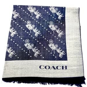 Coach Blue and White Scarf
